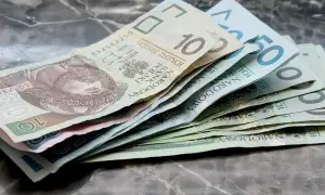 Złotówki na marmurowym tle. Myśląc o przyszłości, warto rozważyć rentę chorobową po 50 roku życia.