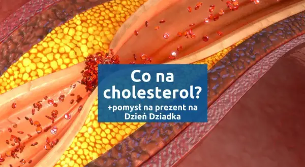 Przekrój naczynia krwionośnego z cholesterolem. Szukasz najmniej szkodliwego leku na cholesterol? Sprawdź pomysł na prezent na Dzień Dziadka.