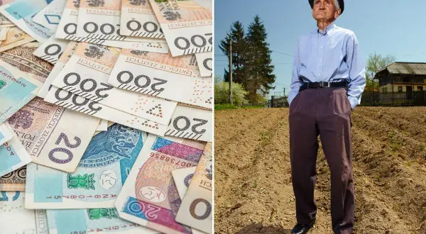 ZUS i KRUS: Rodzaje rent Czy wiesz, które wsparcie jest dla Ciebie?