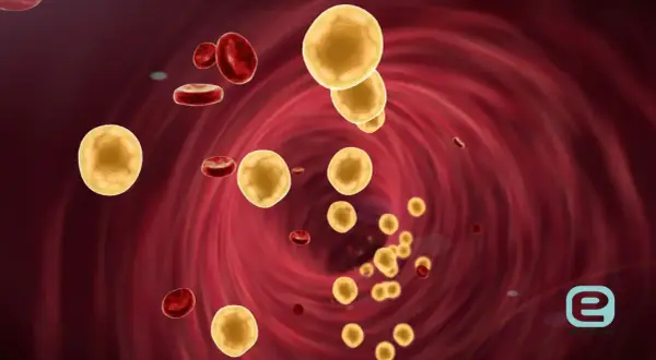 Żółte kuleczki cholesterolu i czerwone krwinki w naczyniu krwionośnym. Wysoki cholesterol może prowadzić do problemów zdrowotnych.