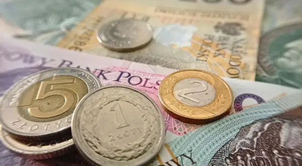 Złote monety i banknoty. Chcesz wiedzieć, jak sprawdzić, czy jesteś w OFE czy ZUS? Sprawdź swoje finanse!