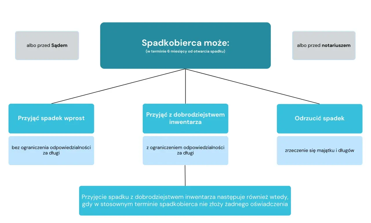 Schemat przedstawia opcje spadkobiercy: przyjąć spadek wprost, z dobrodziejstwem inwentarza lub odrzucić. Kluczowe dla prawa spadkowego są terminy i odpowiedzialność za długi.
