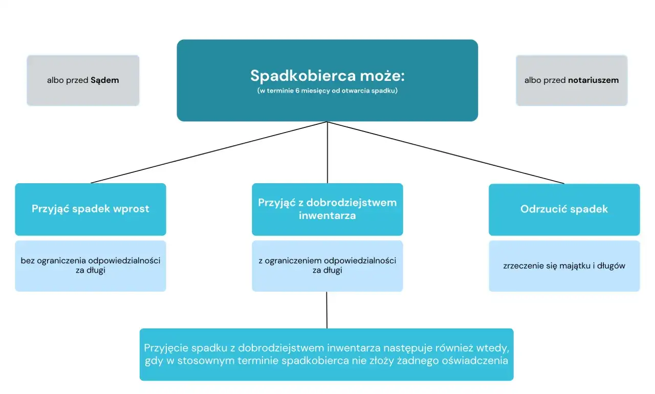 Schemat przedstawia opcje spadkobiercy: przyjąć spadek wprost, z dobrodziejstwem inwentarza lub odrzucić. Kluczowe dla prawa spadkowego są terminy i odpowiedzialność za długi.