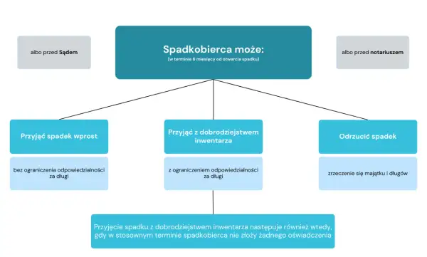 Schemat przedstawia opcje spadkobiercy: przyjąć spadek wprost, z dobrodziejstwem inwentarza lub odrzucić. Kluczowe dla prawa spadkowego są terminy i odpowiedzialność za długi.
